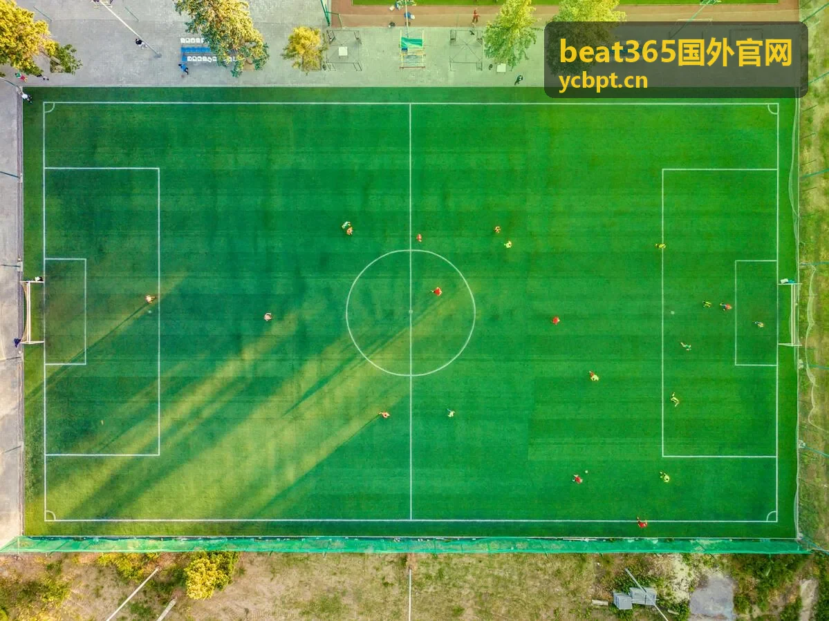 beat365国外官网搜索访问方式说明