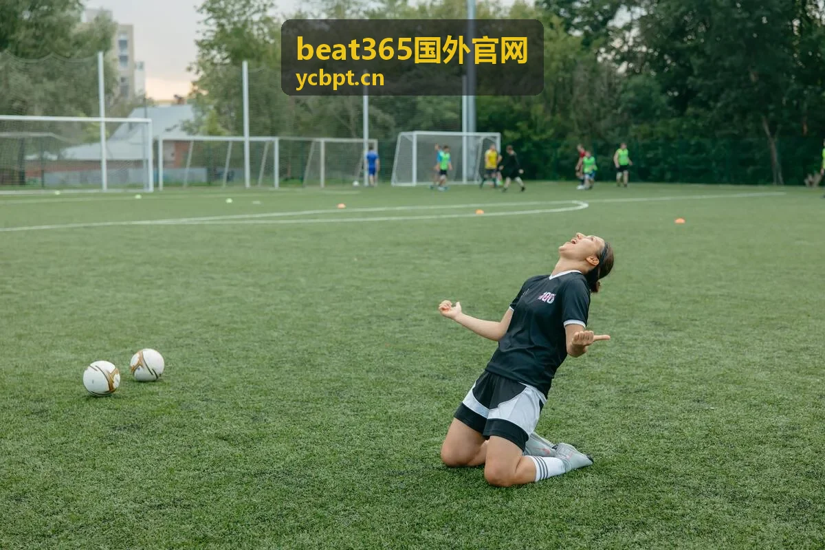 beat365国外官网内容分类检索卡片