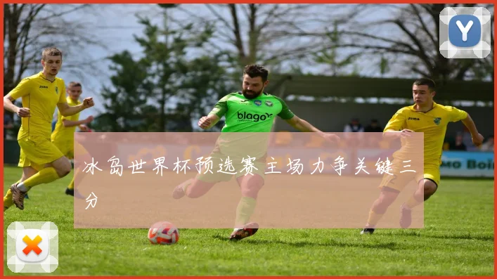 冰岛世界杯预选赛主场力争关键三分