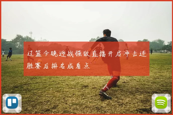 辽篮今晚迎战强敌直播开启冲击连胜赛后排名成看点