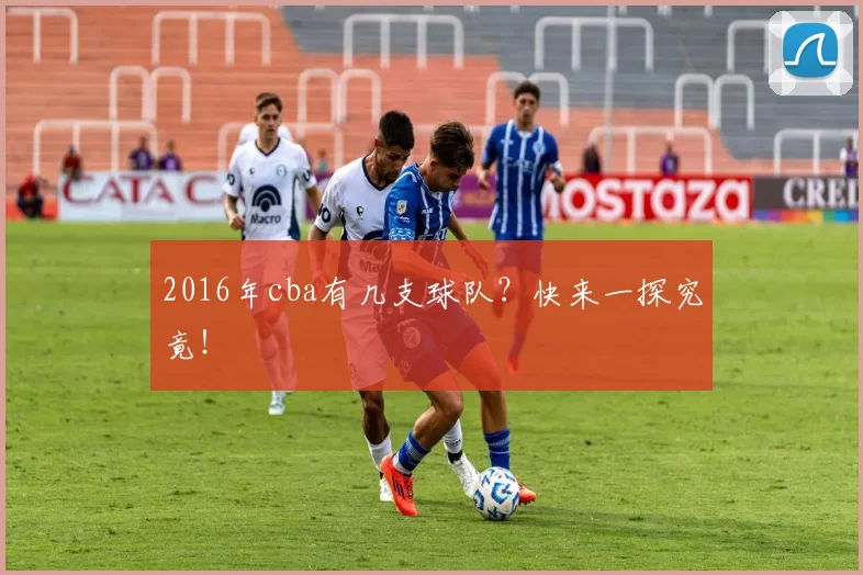 2016年cba有几支球队？快来一探究竟！