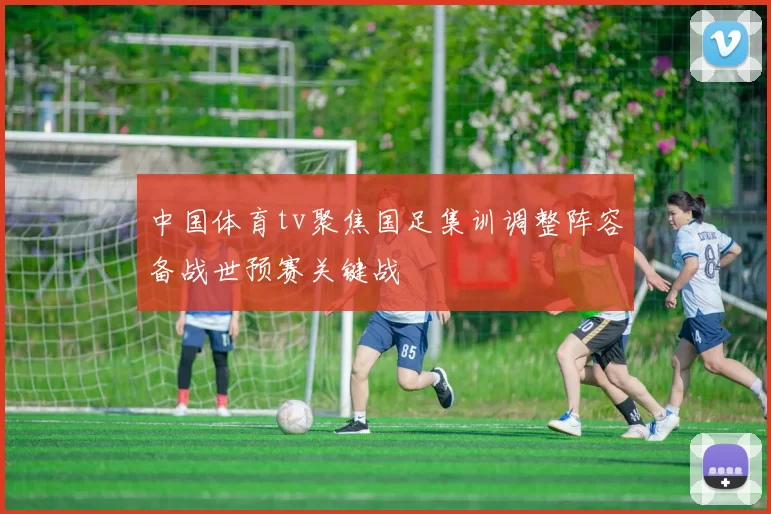 中国体育tv聚焦国足集训调整阵容备战世预赛关键战