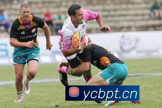 ayx爱游最新登录服务体系